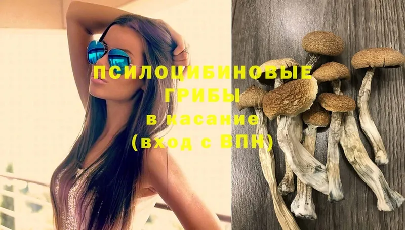 Псилоцибиновые грибы Psilocybine cubensis  hydra онион  Мегион 